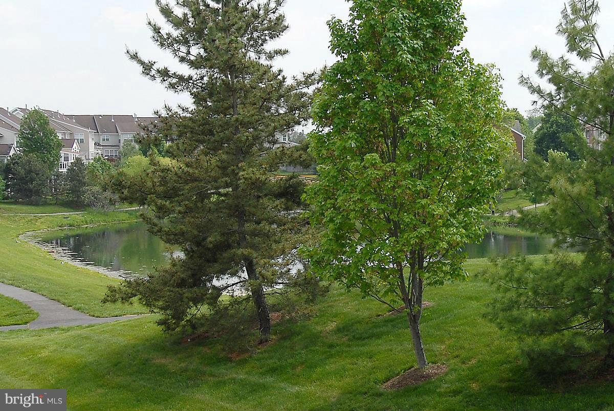 44047 Rising Sun Terrace Ashburn, VA 20147 - Photo 14 of 30 a view of lake background with houses