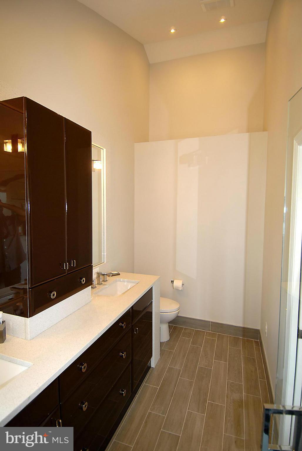 44047 Rising Sun Terrace Ashburn, VA 20147 - Photo 24 of 30 a bathroom with a sink and a mirror