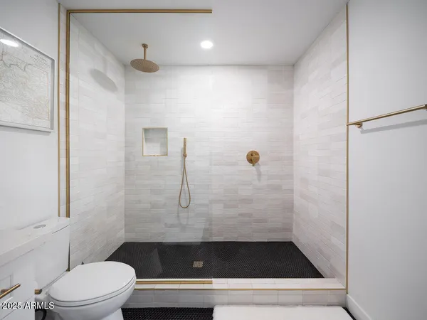 a bathroom with a shower and toilet