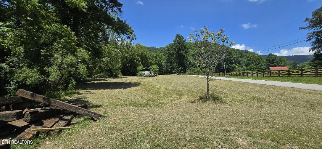 3894 Buffalo Road Oneida, TN 37841 - Photo 25 of 38 20260702_134017
