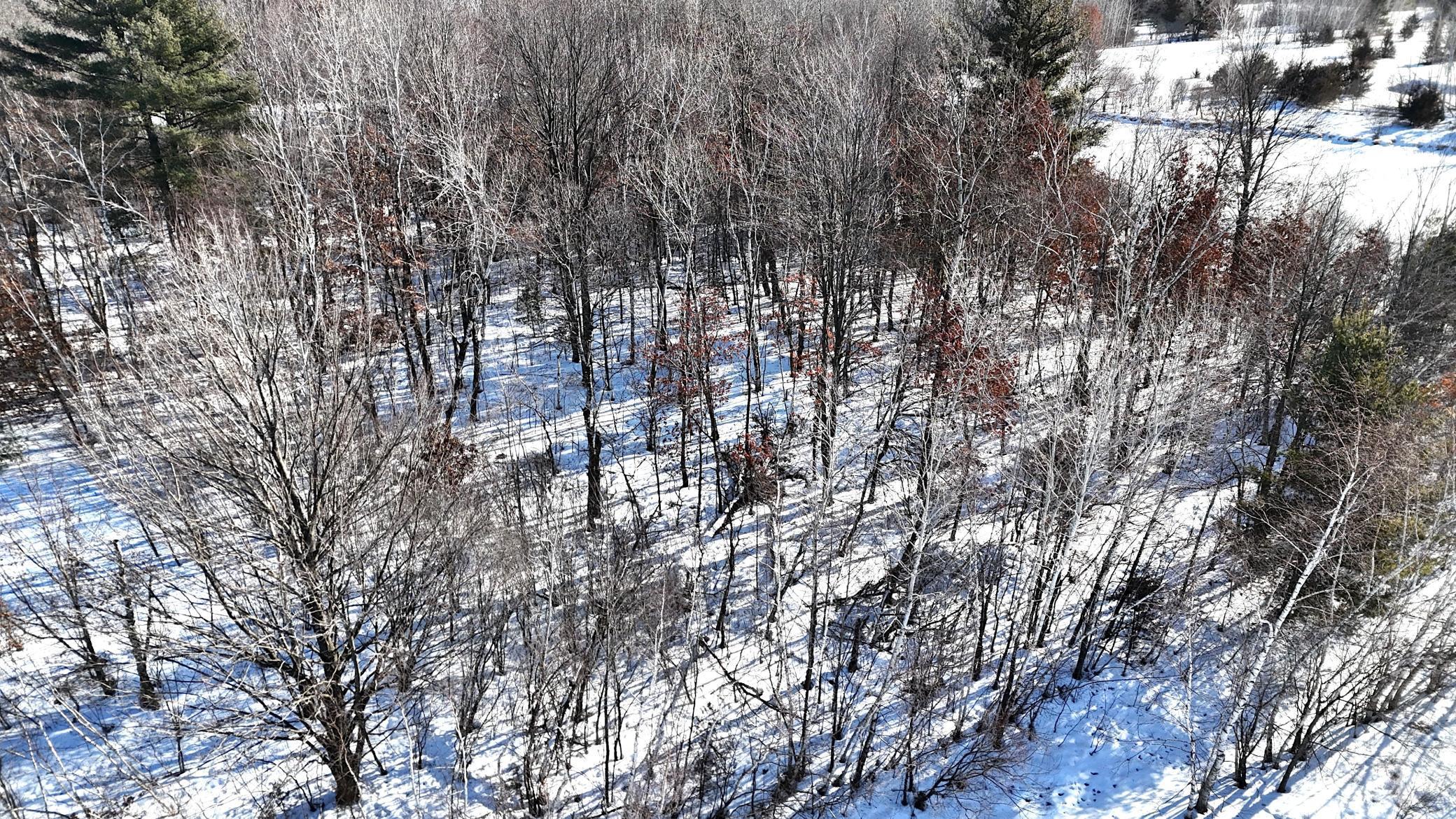 Tbd 320th Street Stacy, MN 55079 - Photo 18 of 35