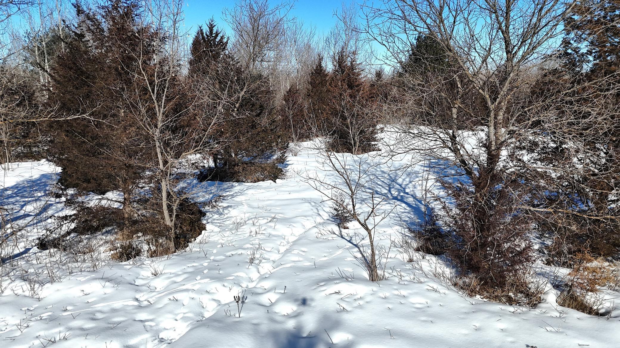 Tbd 320th Street Stacy, MN 55079 - Photo 24 of 35