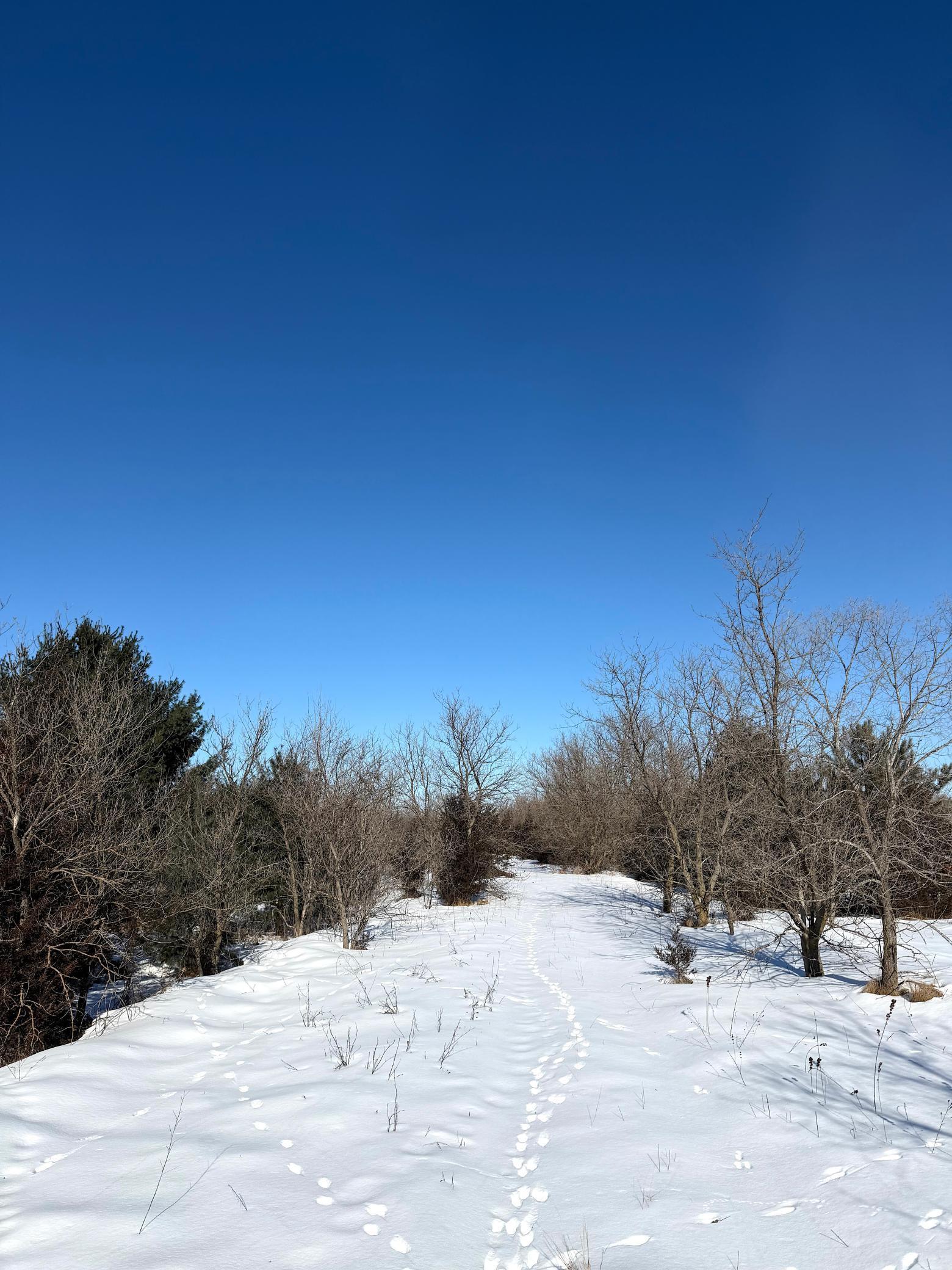Tbd 320th Street Stacy, MN 55079 - Photo 26 of 35