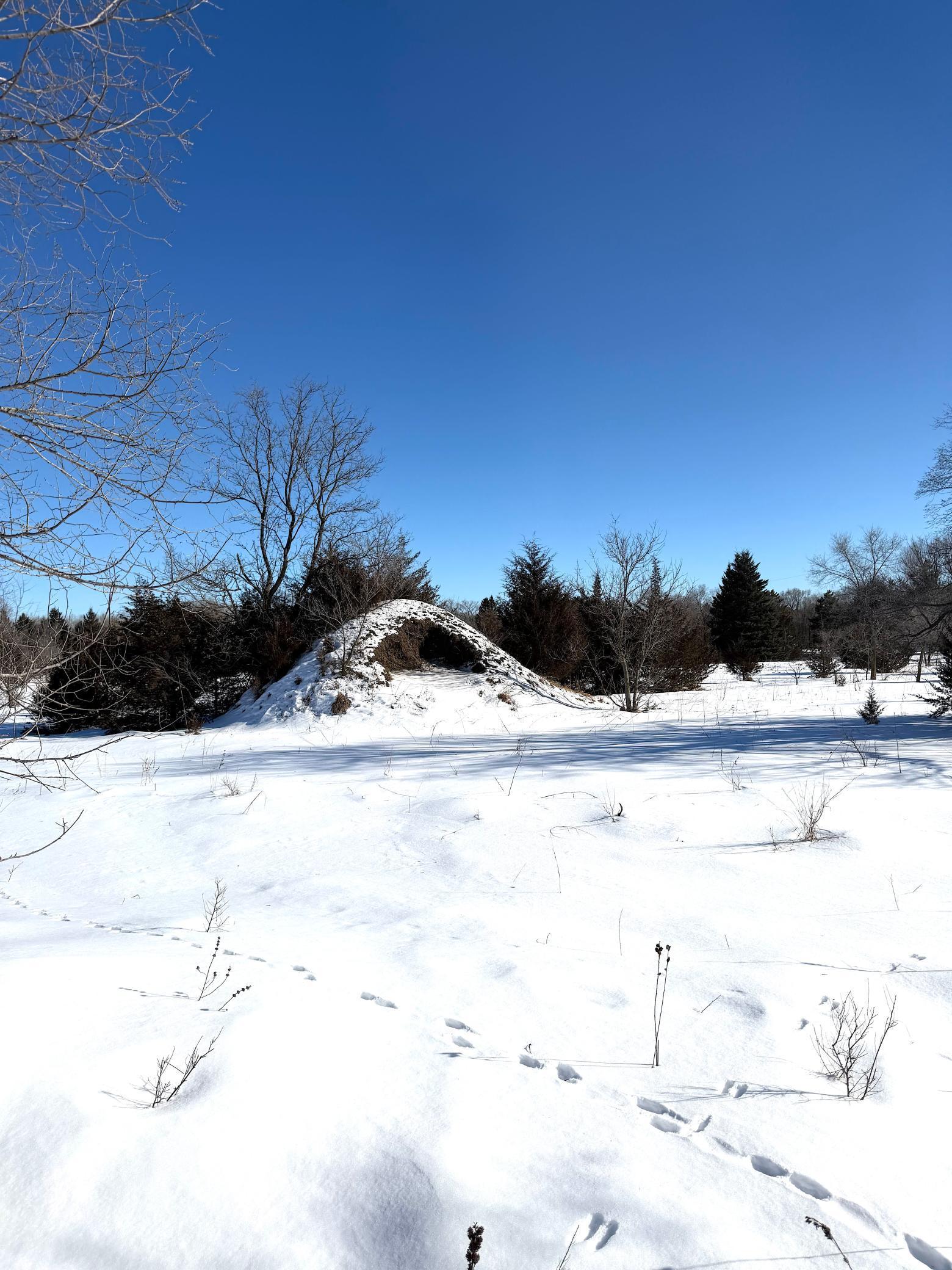Tbd 320th Street Stacy, MN 55079 - Photo 27 of 35