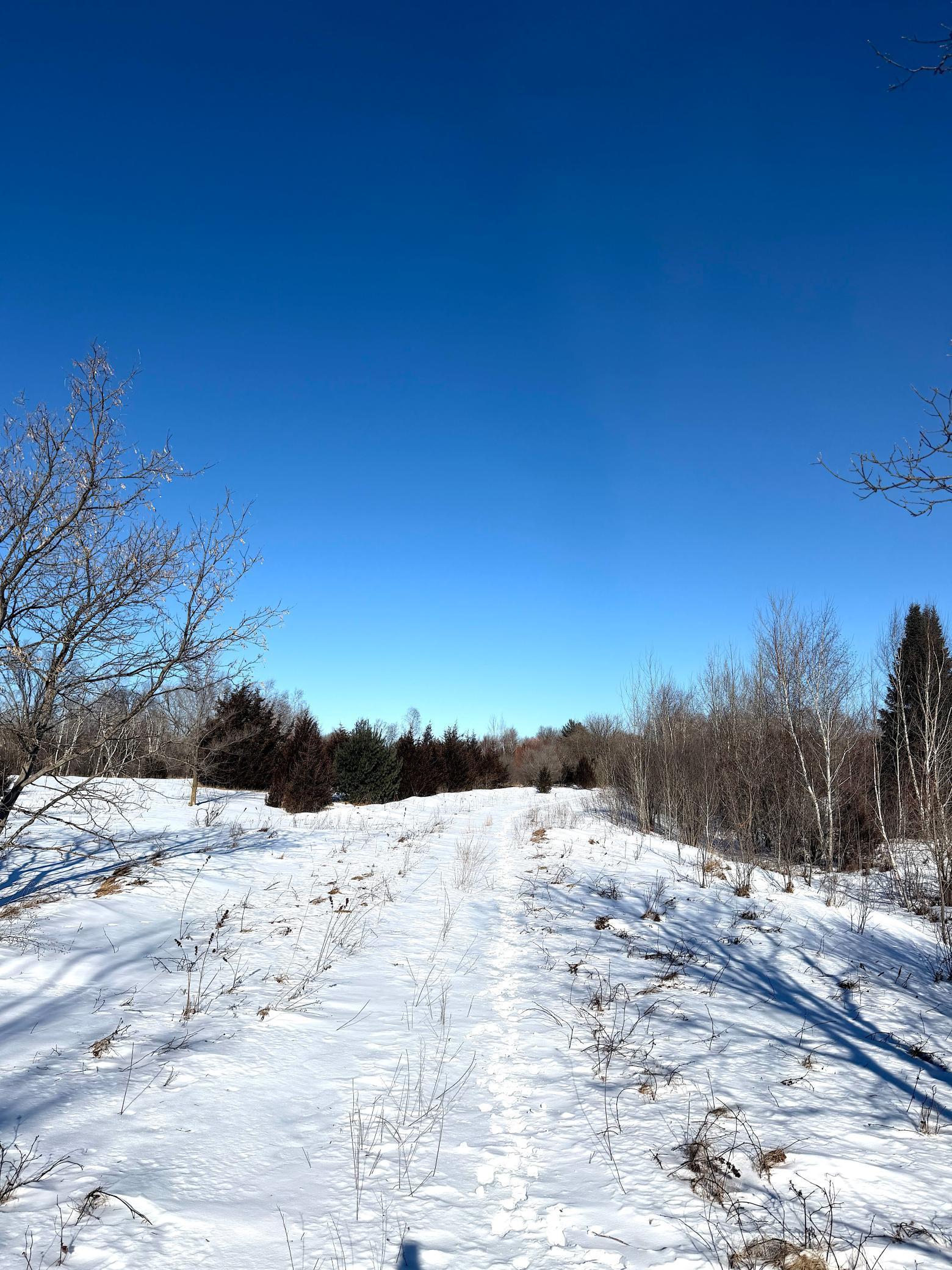 Tbd 320th Street Stacy, MN 55079 - Photo 28 of 35