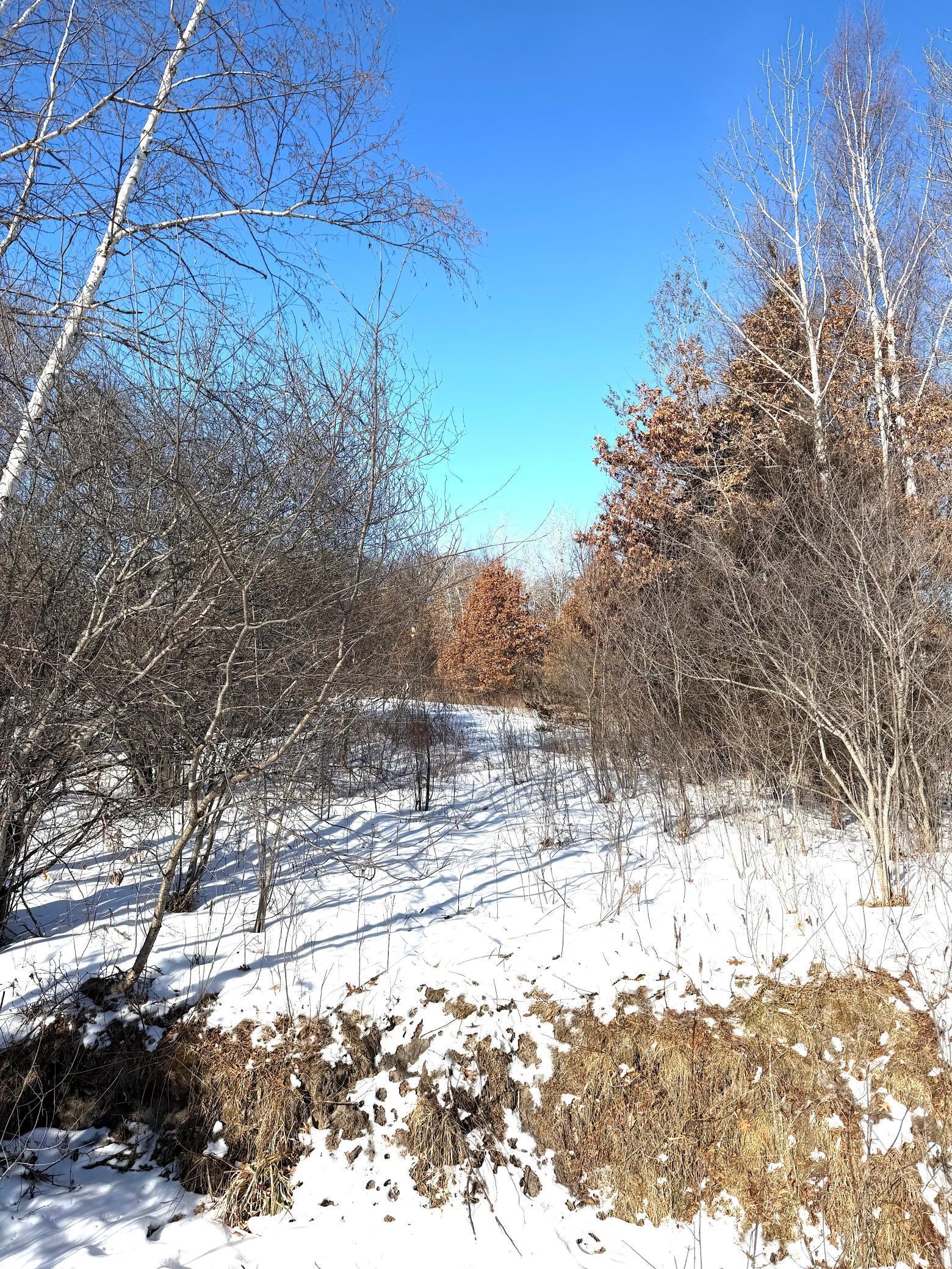 Tbd 320th Street Stacy, MN 55079 - Photo 32 of 35