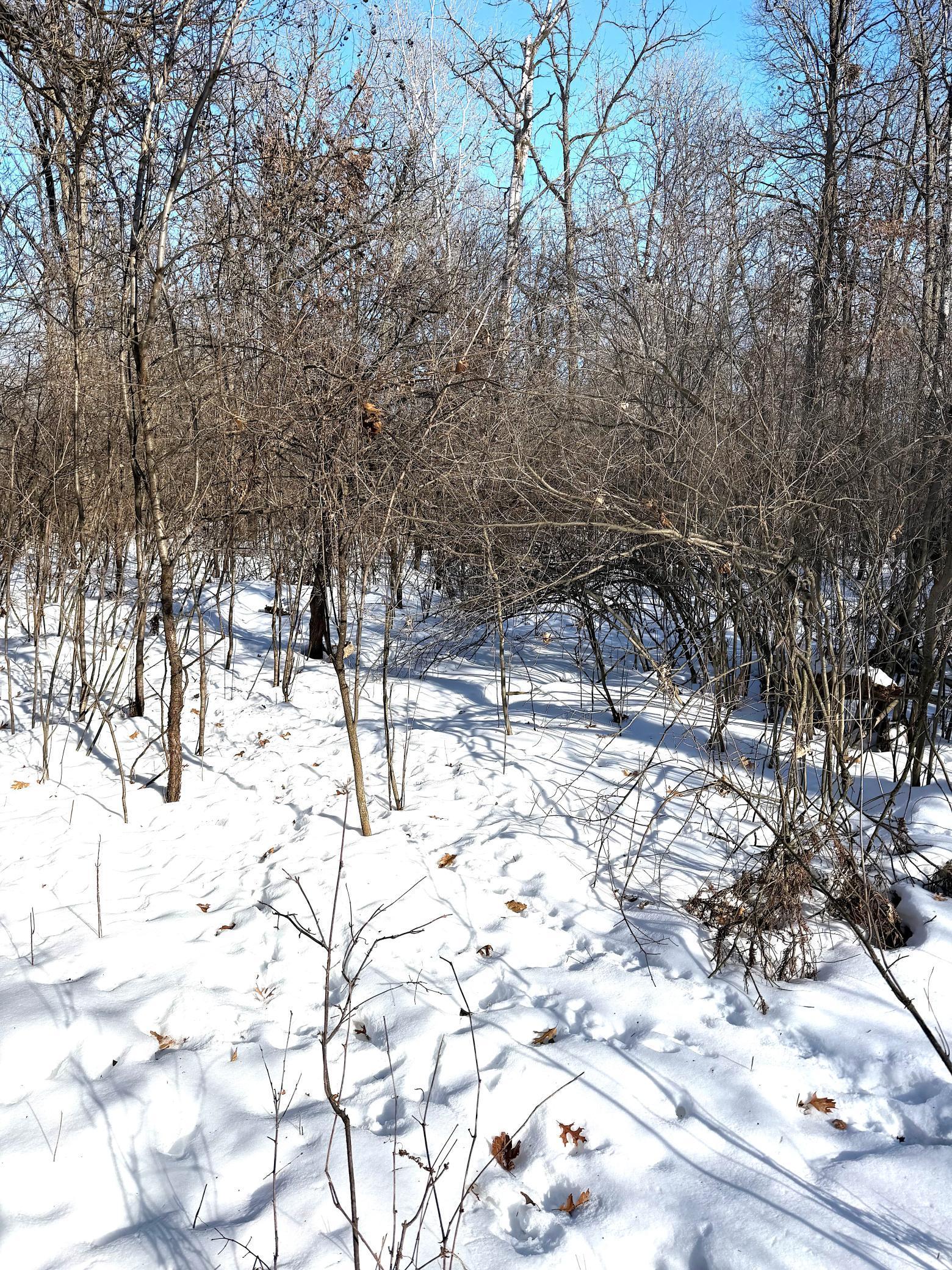 Tbd 320th Street Stacy, MN 55079 - Photo 34 of 35