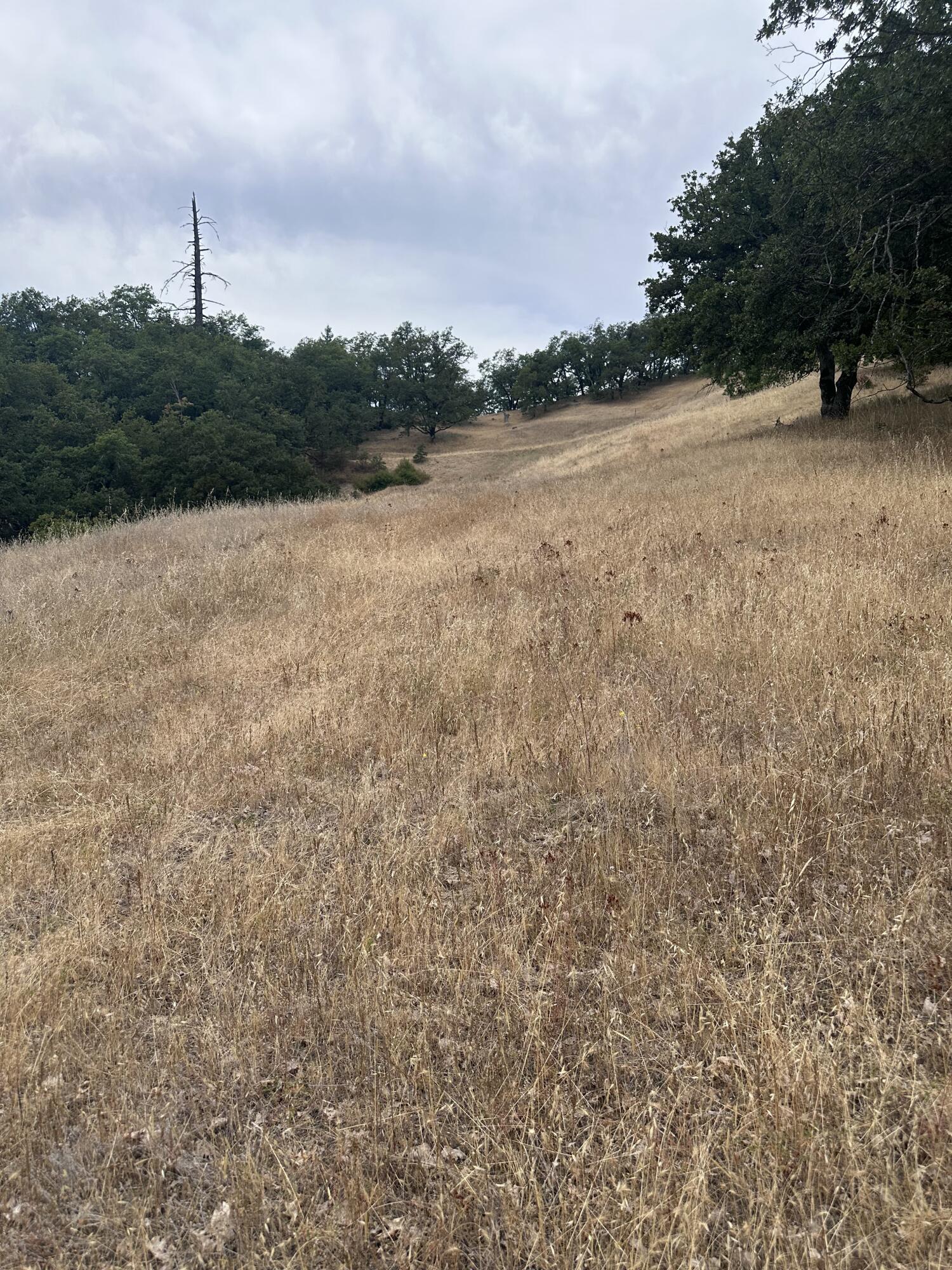 0 River Road Miranda, CA 95553 - Photo 11 of 31