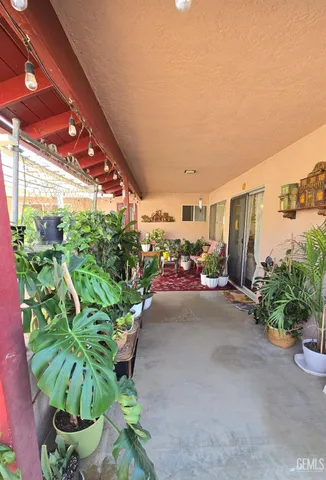 a potted plant sitting in front of a building