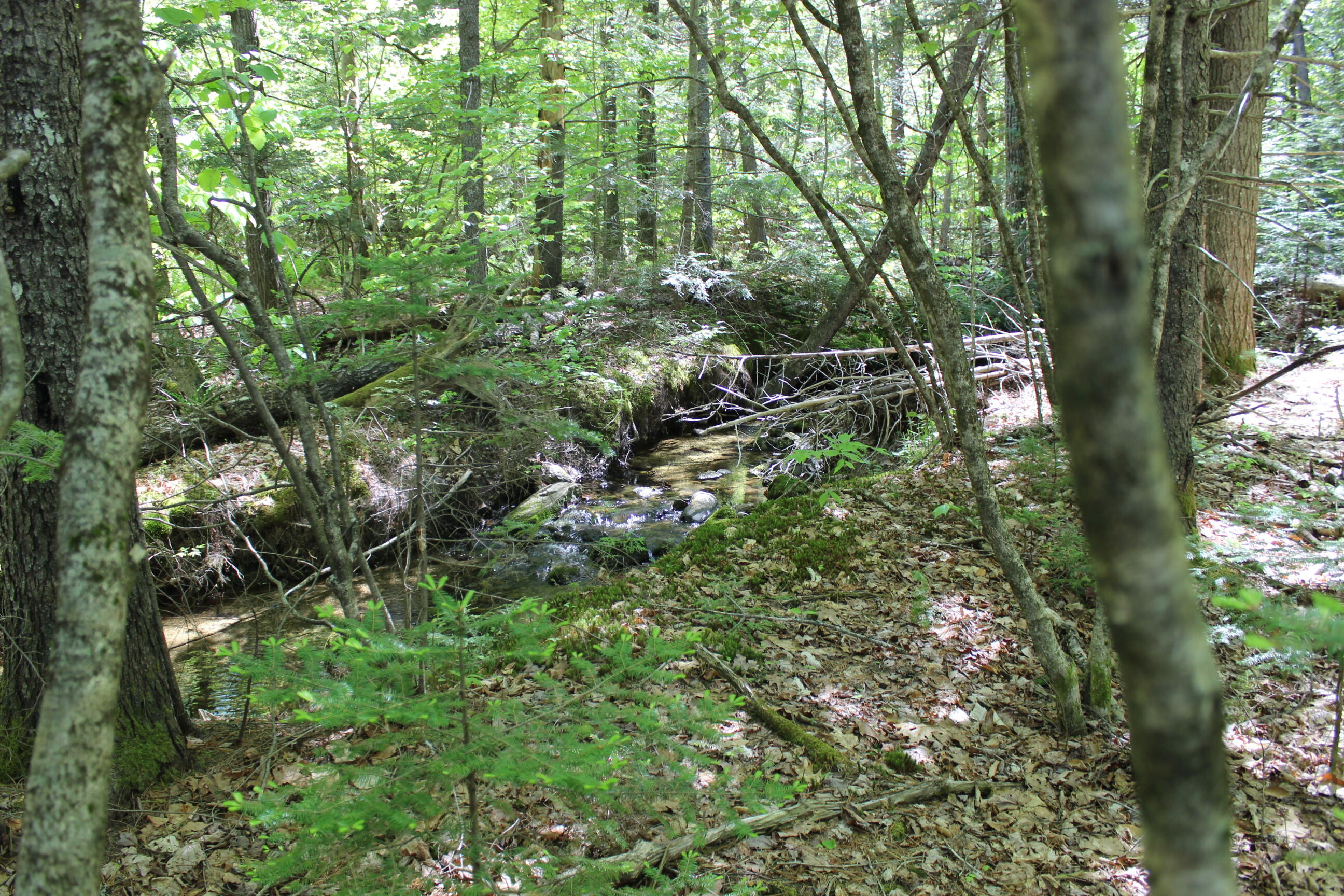 41 Hanson Landing Road Ellsworth, ME 04605 - Photo 10 of 15 IMG_0944