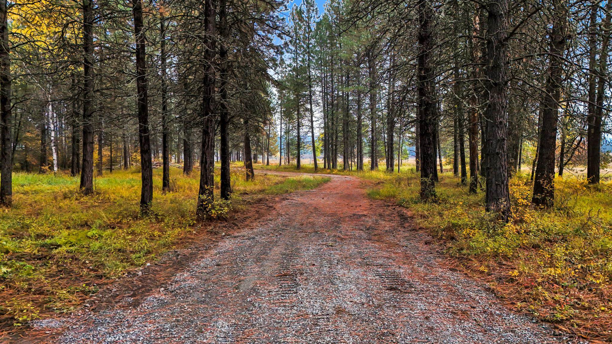 425291 State Rte 20 Newport, WA 99156 - Photo 14 of 29