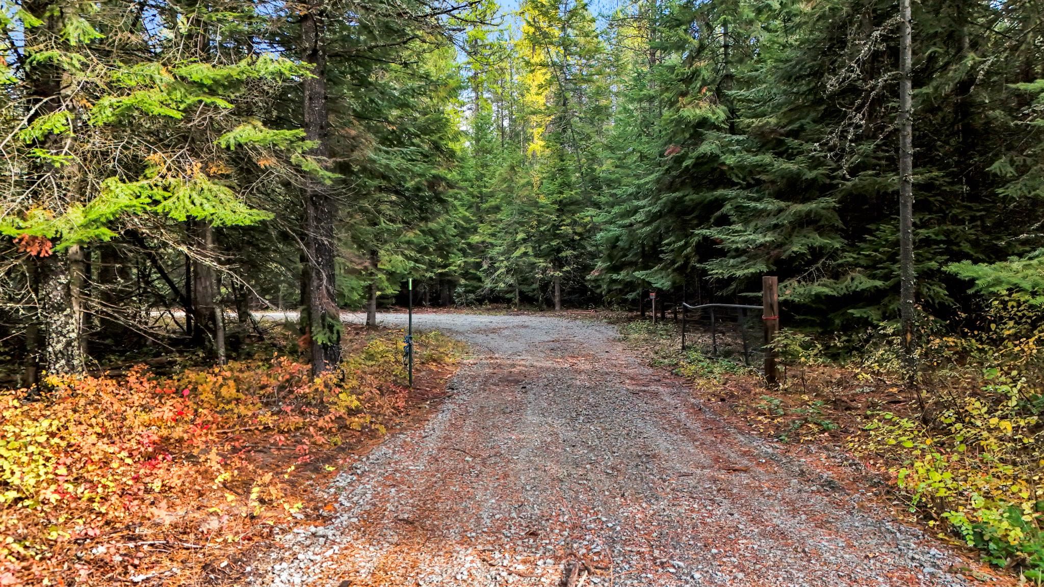 425291 State Rte 20 Newport, WA 99156 - Photo 7 of 29