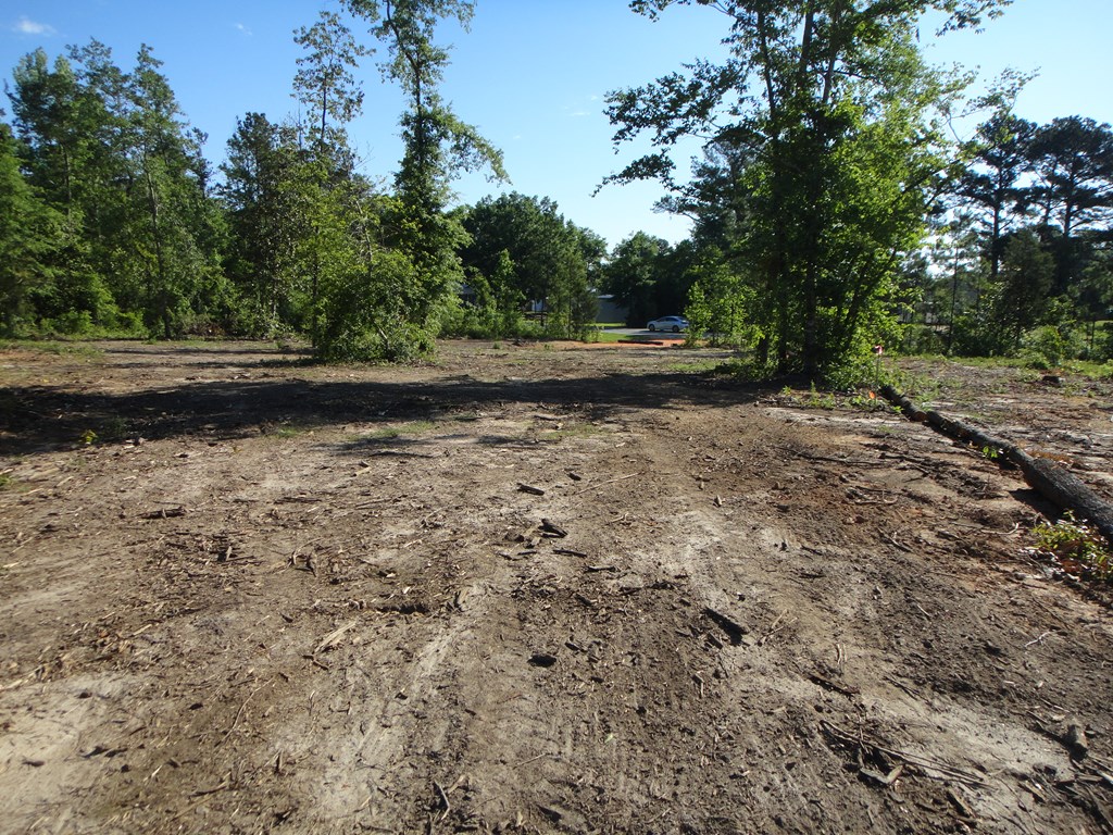 0 Otho Road Abbeville, AL 36310 - Photo 11 of 11