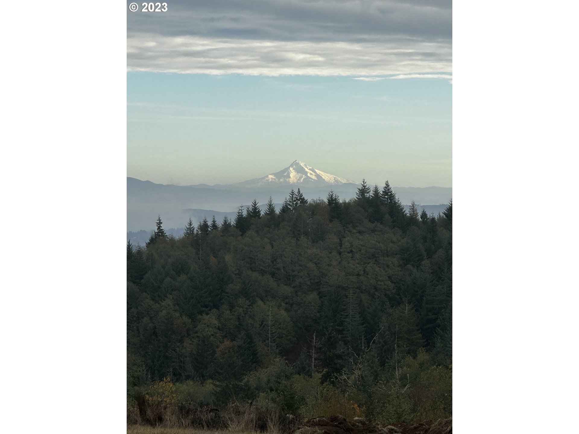 0 Meissner Road Deer Island, OR 97054 - Photo 3 of 8 Gallery Image 3