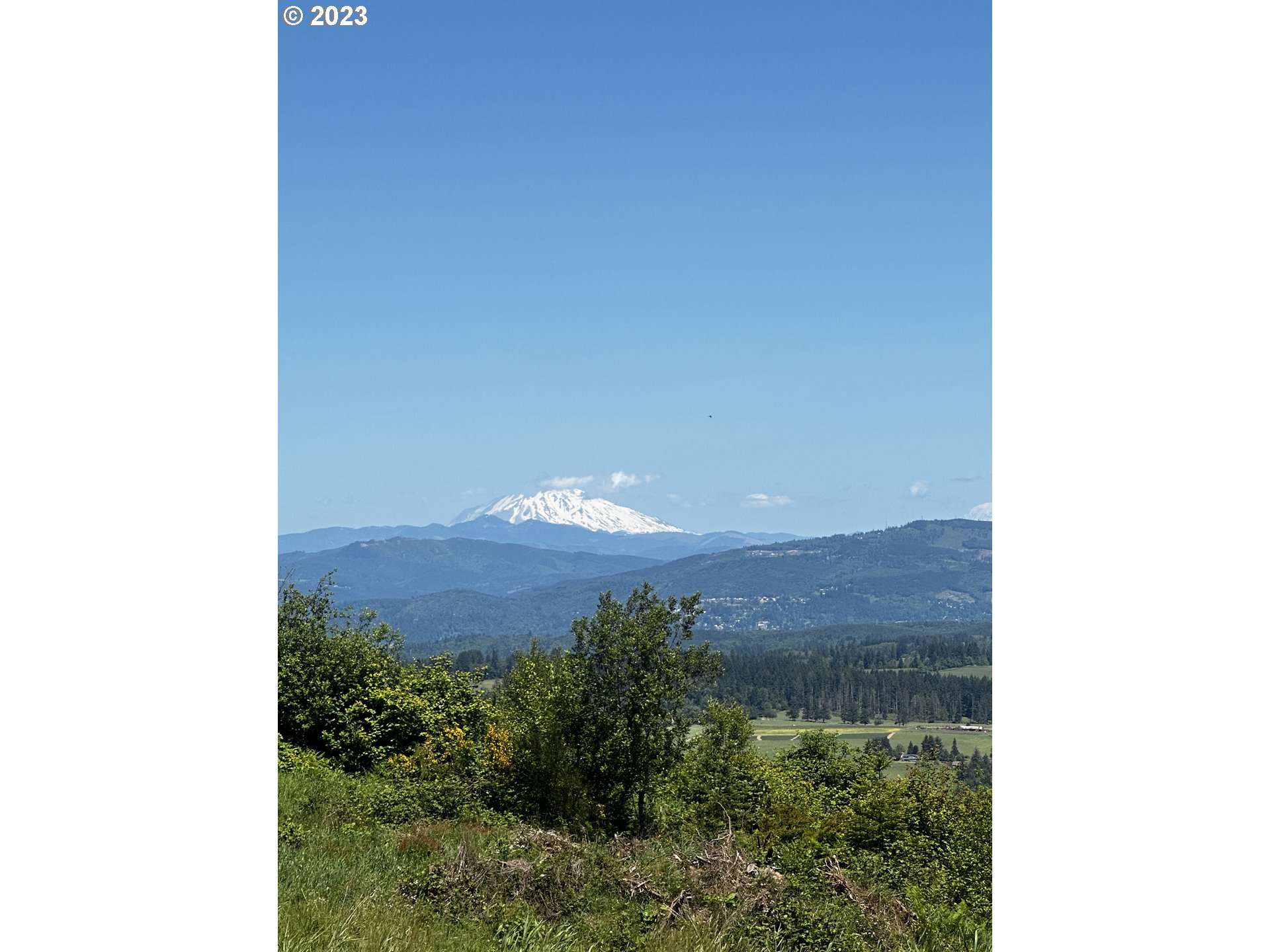 0 Meissner Road Deer Island, OR 97054 - Photo 5 of 8 Gallery Image 5