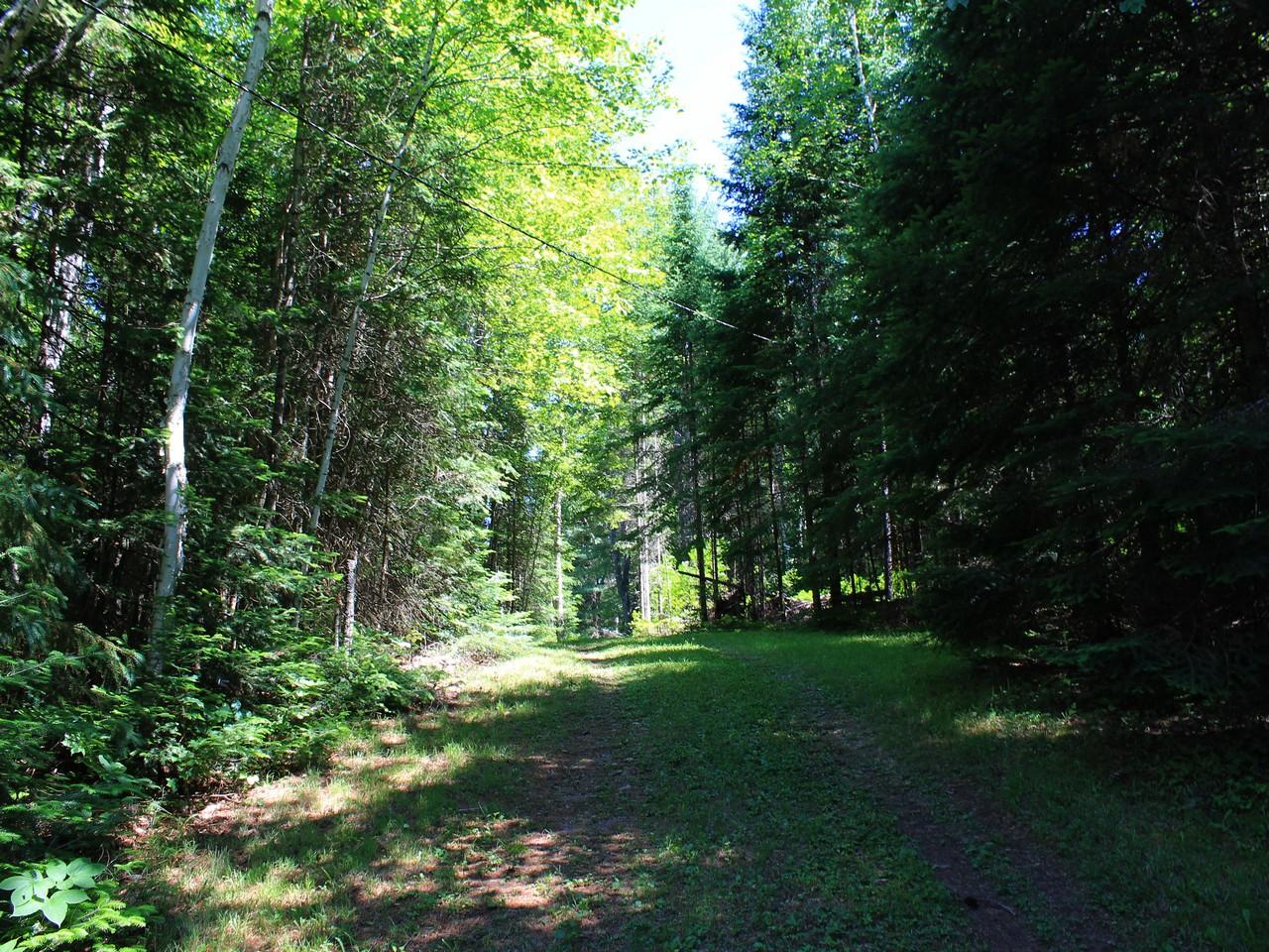 2892 Bisenius Road Park Falls, WI 54552 - Photo 38 of 39 Gallery Image 38