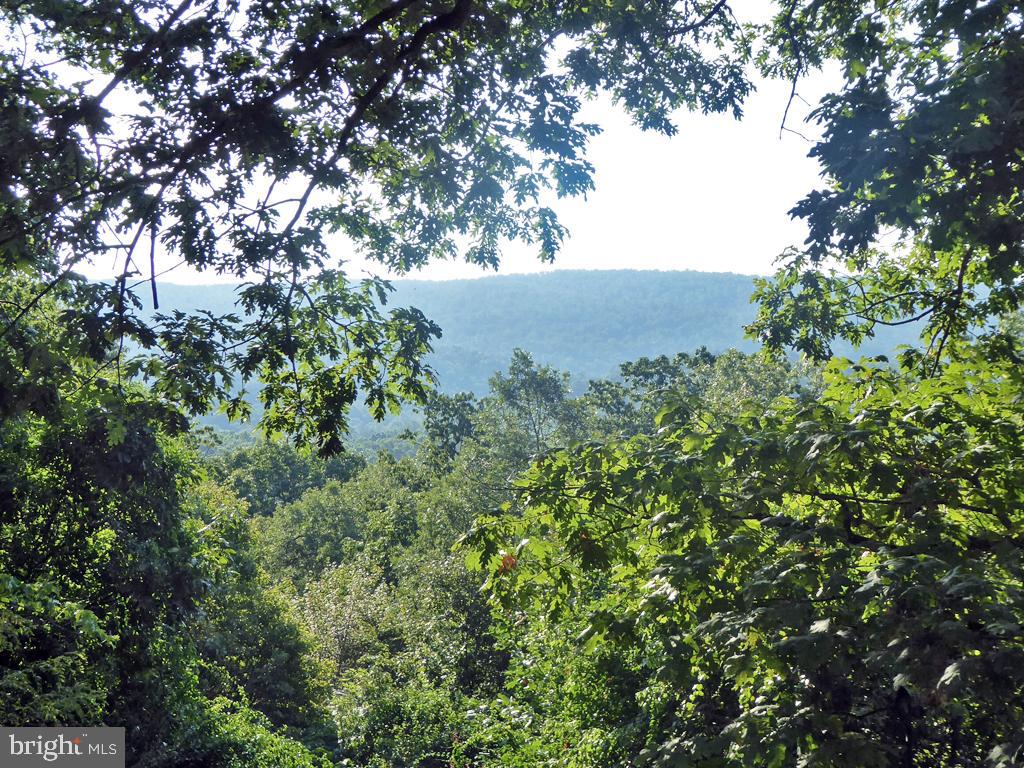 135 Farm Ridge Road Front Royal, VA 22630 - Photo 19 of 50 A stunning mountain view