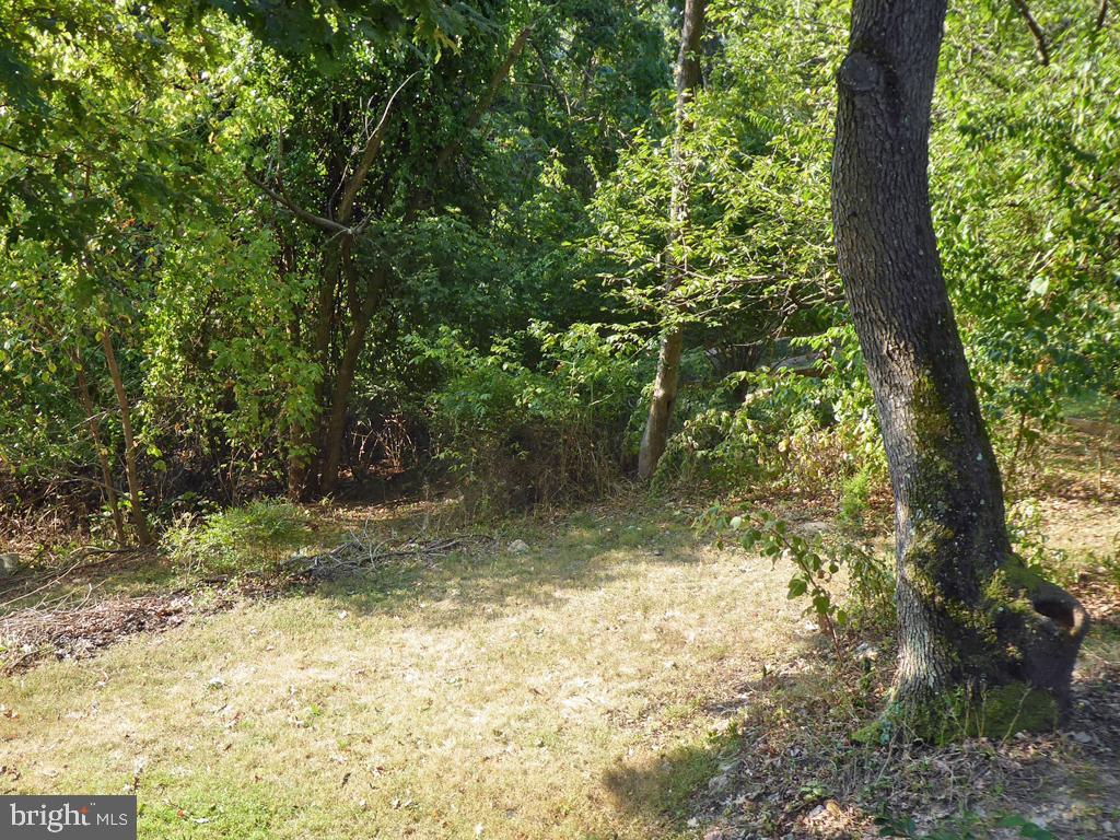 135 Farm Ridge Road Front Royal, VA 22630 - Photo 20 of 50 Looking down on the yard from the deck