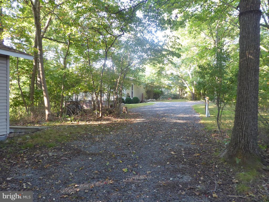 135 Farm Ridge Road Front Royal, VA 22630 - Photo 8 of 50 In-and-out driveway