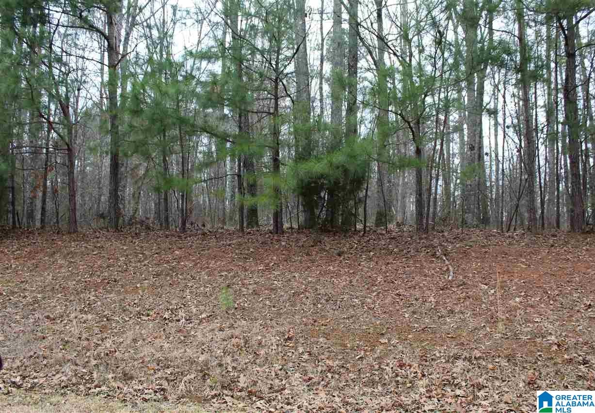 136 Forest Ridge Drive, Unit 19B Jacksonville, AL 36265 - Photo 5 of 6