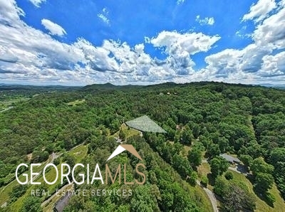 0 Katydid Road Mineral Bluff, GA 30559 - Photo 1 of 1 Gallery Image 1
