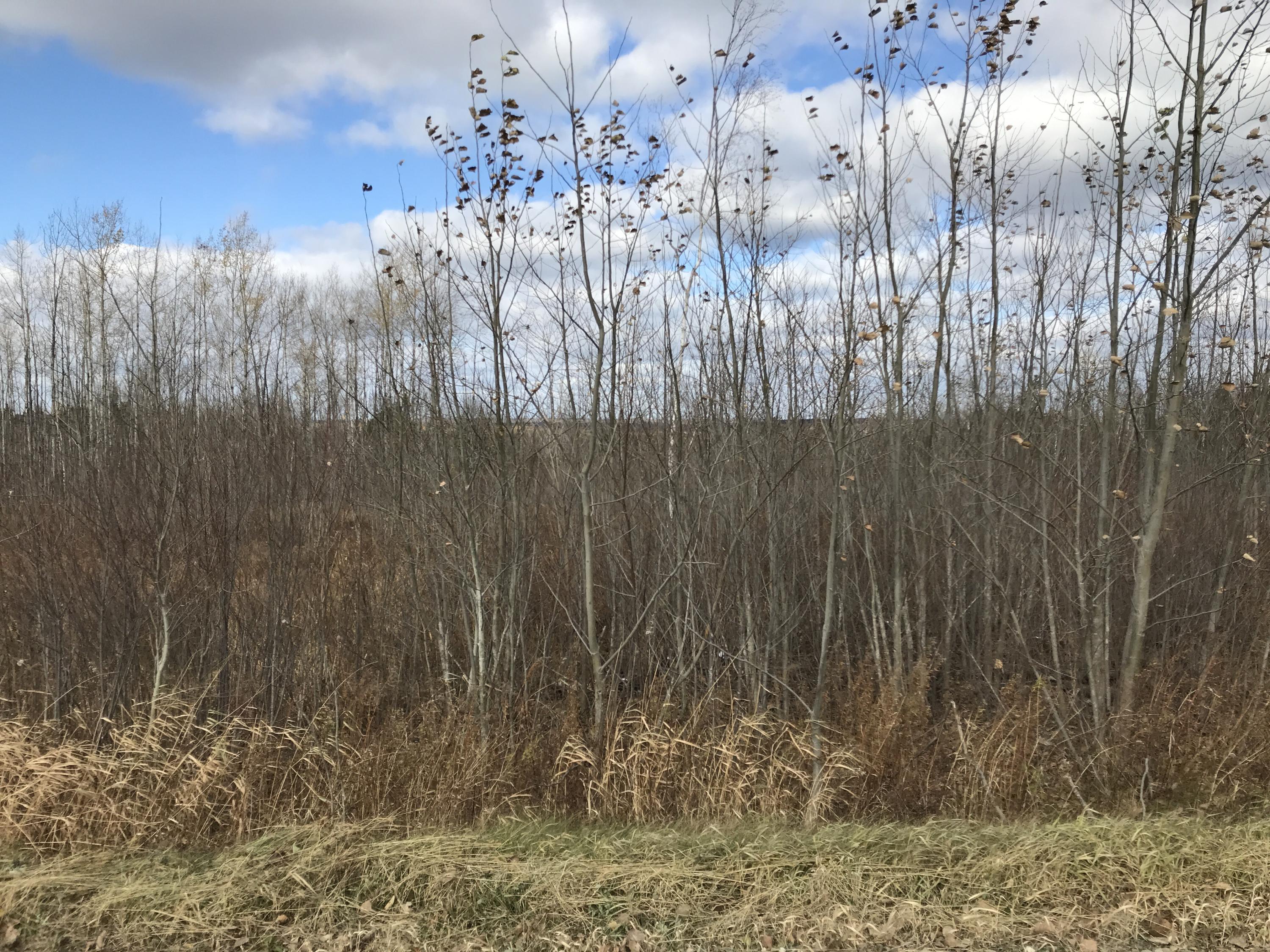 175.4 Townline Road Caribou, ME 04736 - Photo 2 of 8 Photo Oct 26, 1 30 23 PM