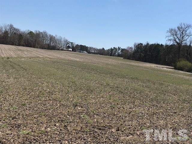 233 Ennis Road Benson, NC 27504 - Photo 2 of 7 Gallery Image 2
