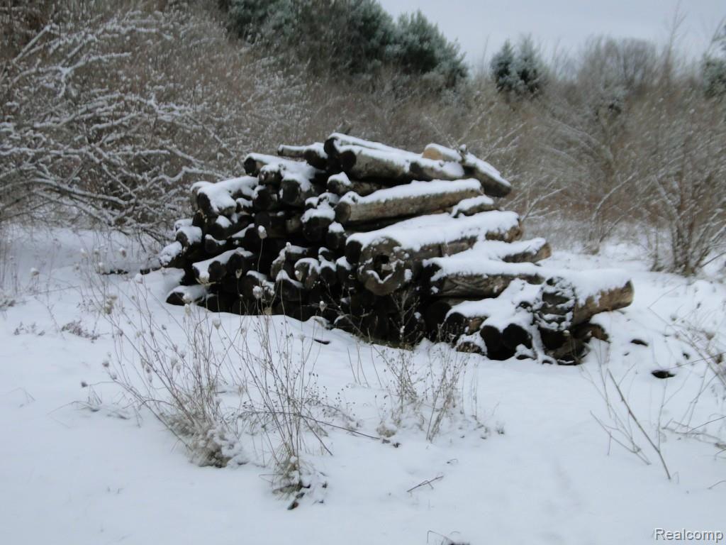 5900 Fostoria Road Columbiaville, MI 48421 - Photo 23 of 28 Free Wood!