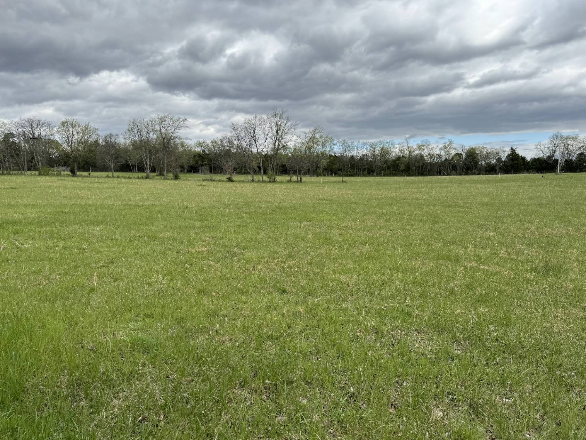 525 Rutledge Ln. Lebanon, TN 37087 - Photo 1 of 3 Gallery Image 1