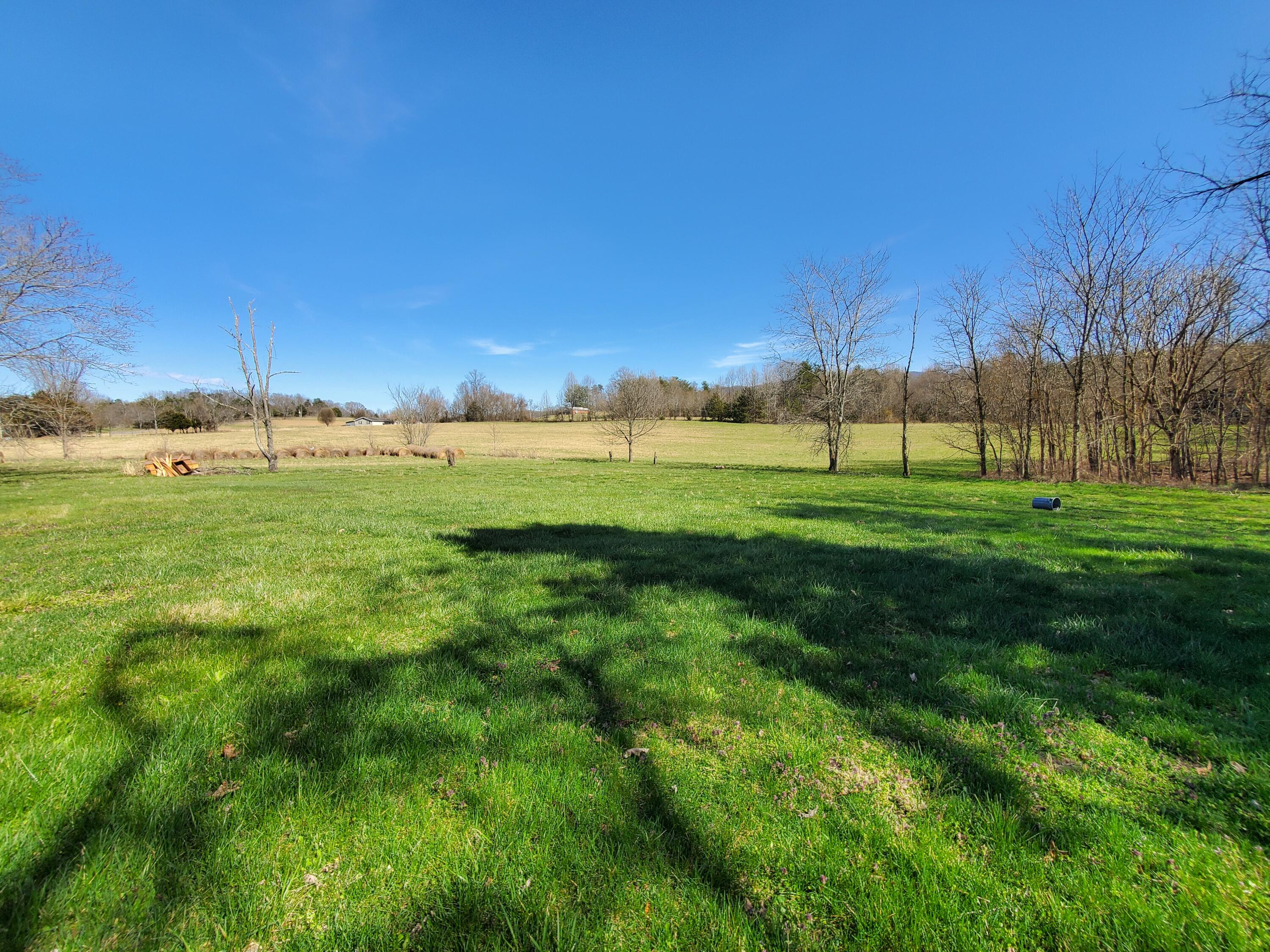 2010 McCoy Road Greeneville, TN 37743 - Photo 55 of 59 middle rear yard
