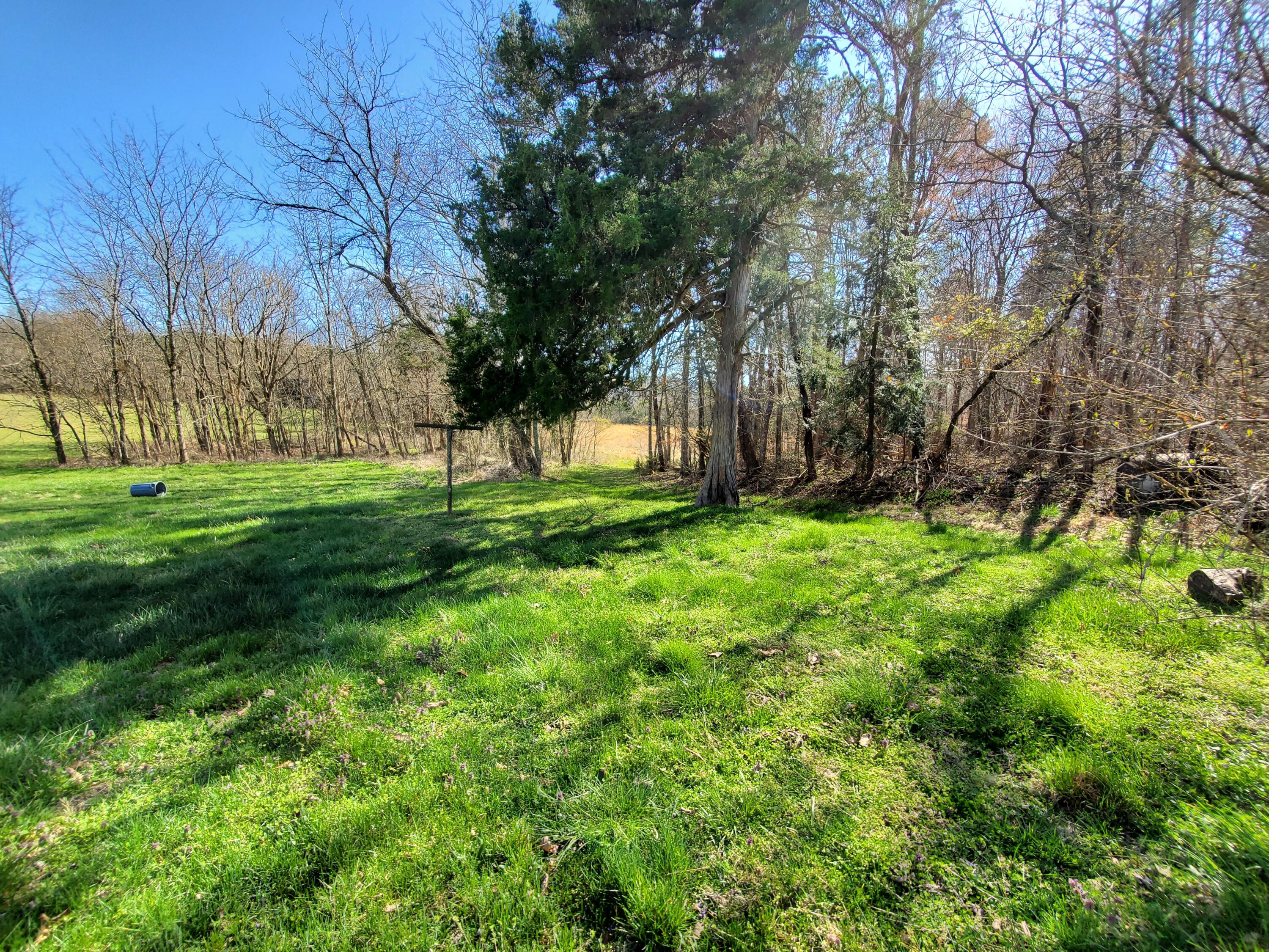 2010 McCoy Road Greeneville, TN 37743 - Photo 57 of 59 rt rear yard