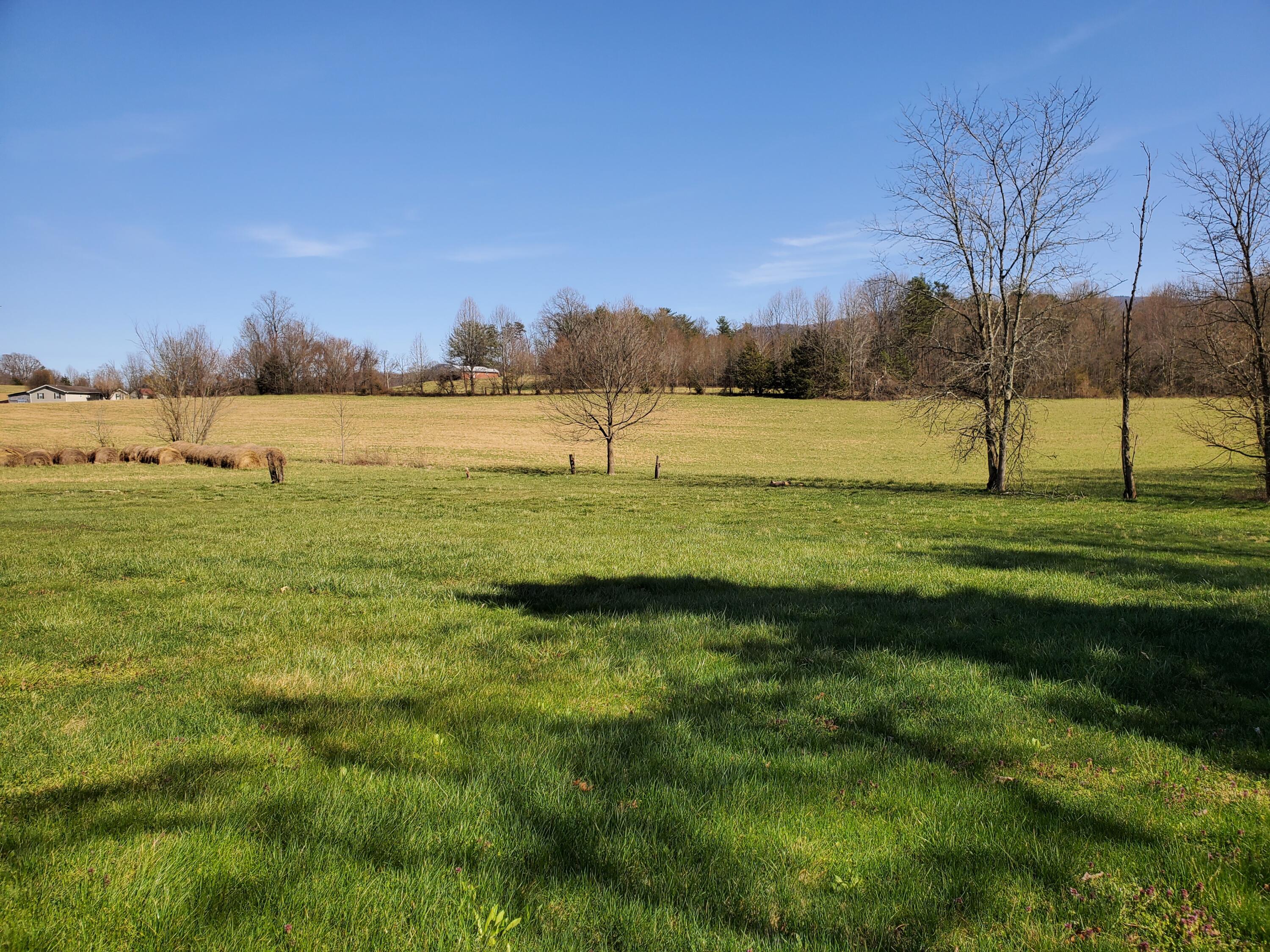 2010 McCoy Road Greeneville, TN 37743 - Photo 58 of 59 Left rear yard
