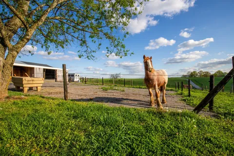 $825,000 | 501 Burnt Hill Road, Unionville, TN 37180