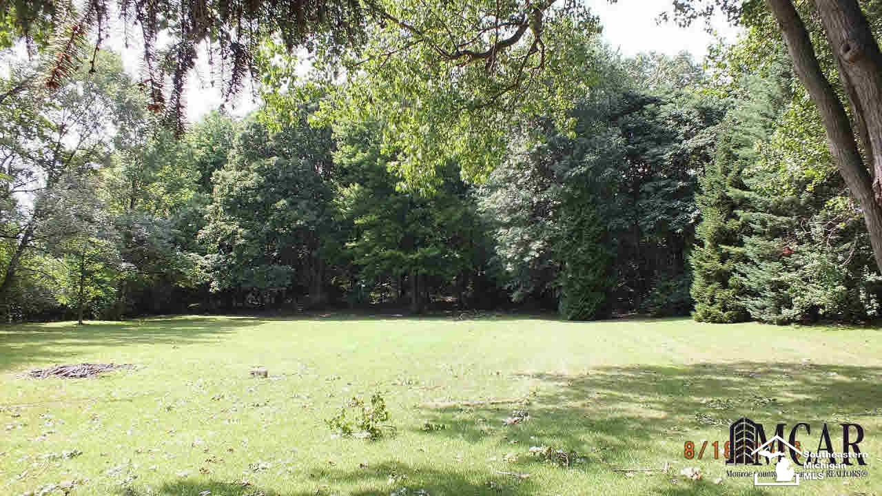 10137 Telegraph Road Erie, MI 48133 - Photo 8 of 28 21206281-7.JPG