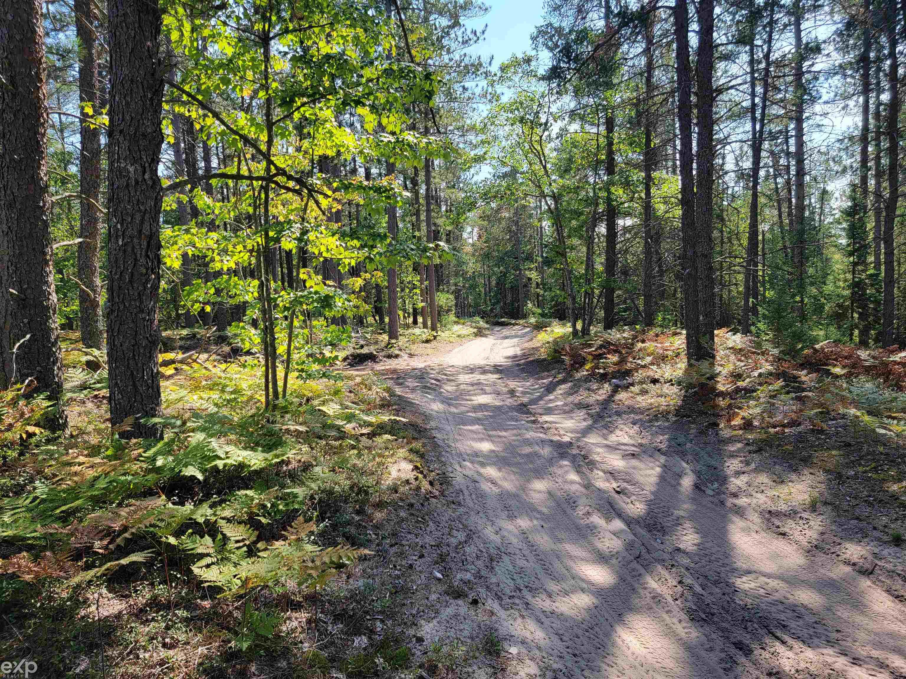 0 West Betsy River Road Paradise, MI 49768 - Photo 1 of 4 Betsy River Rd with drive into property to left