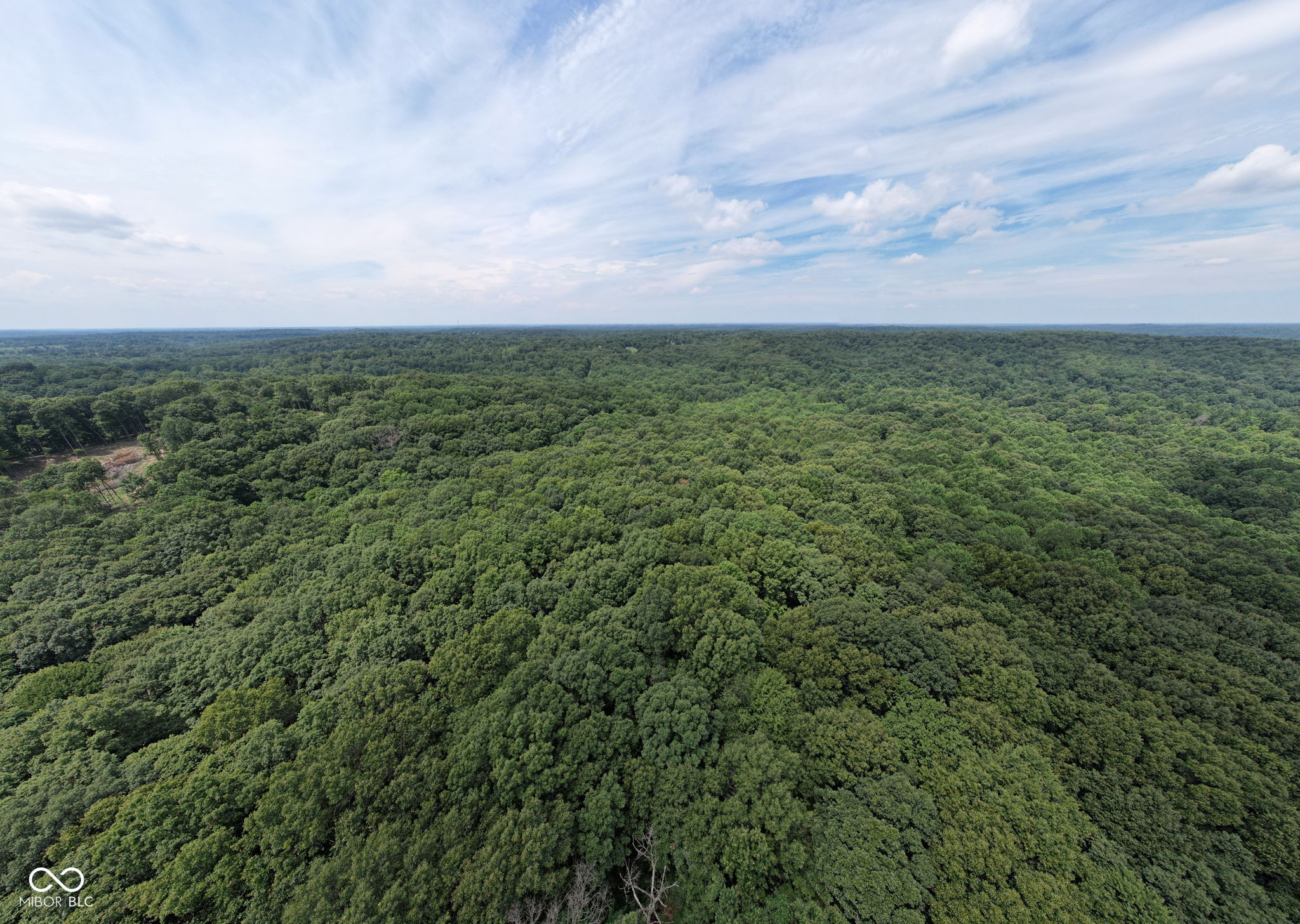 5538 East Washboard Road Bloomfield, IN 47424 - Photo 7 of 13