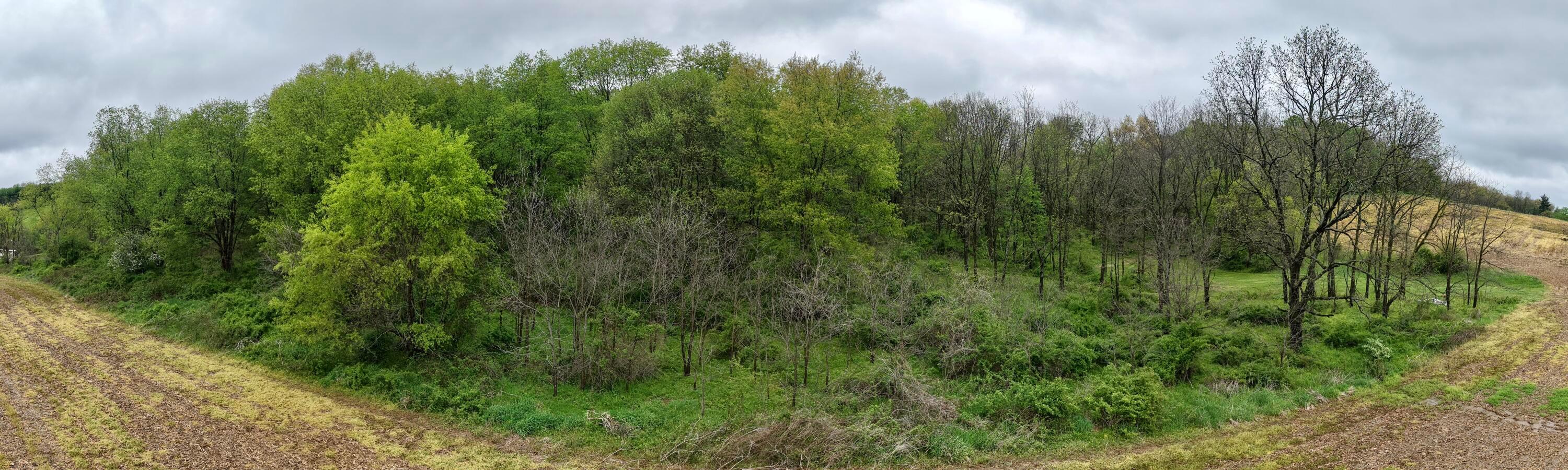 0 State Route 79 Warsaw, OH 43844 - Photo 6 of 27 DJI_20250504115315_0086_D