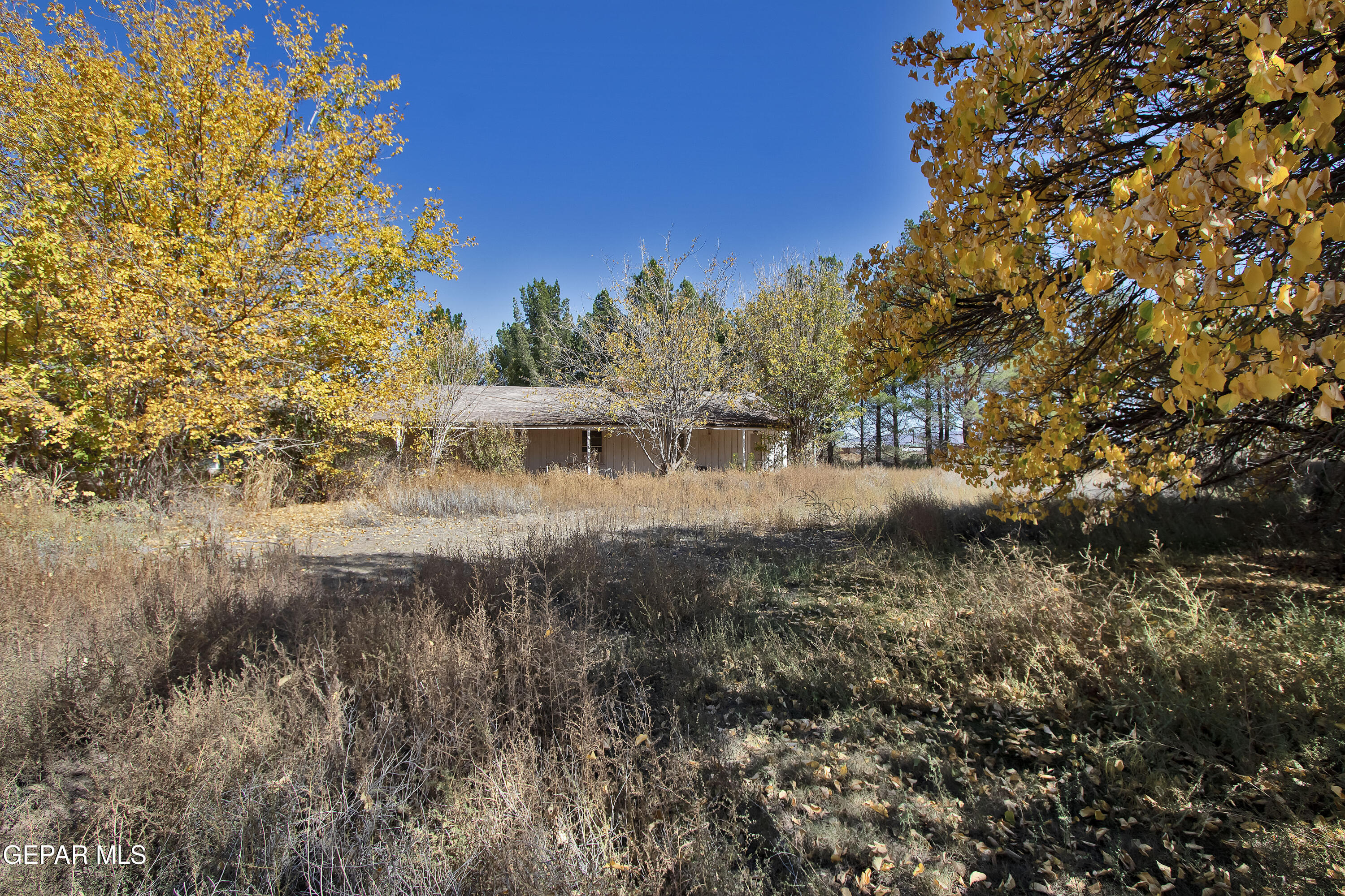 110 Southwest Creosote Road Deming, OUT OF SERVICE AREA 88030 - Photo 85 of 101 Backyard