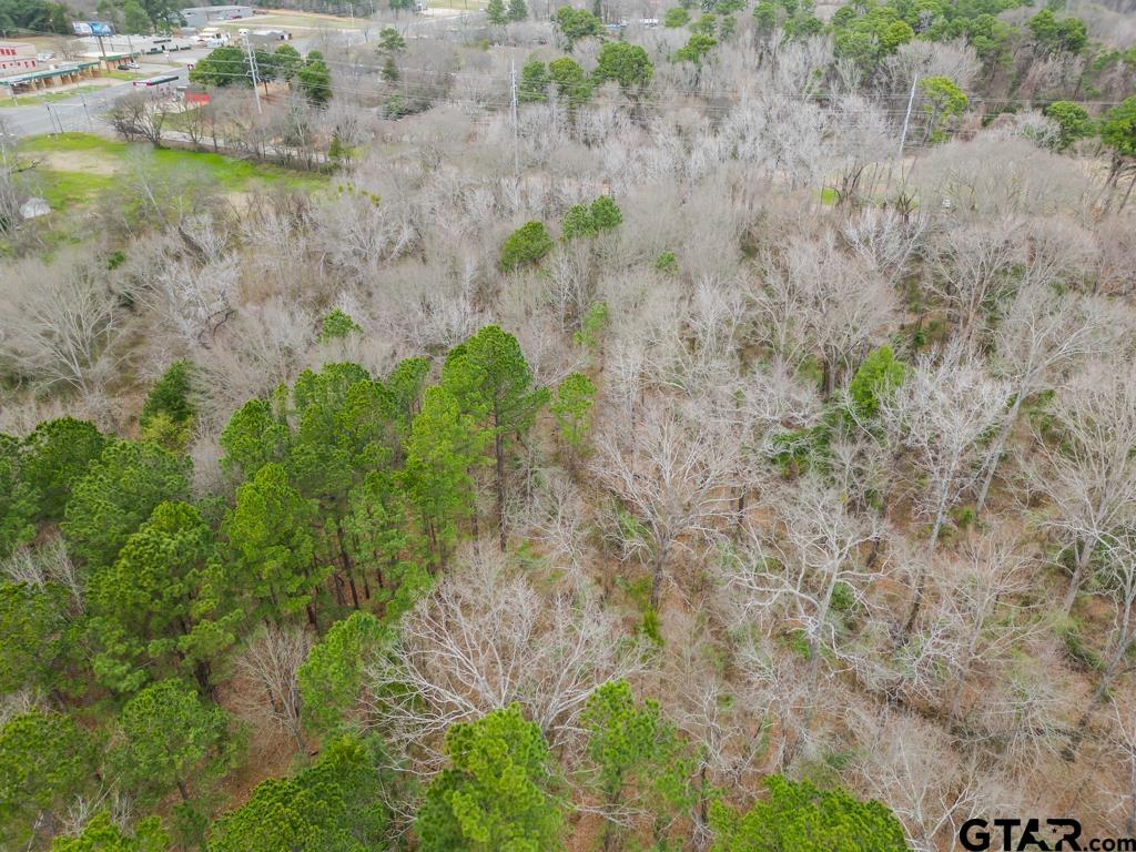 Tbd East Pliler Precise Road Longview, TX 75605 - Photo 11 of 19 a view of a lake with large trees