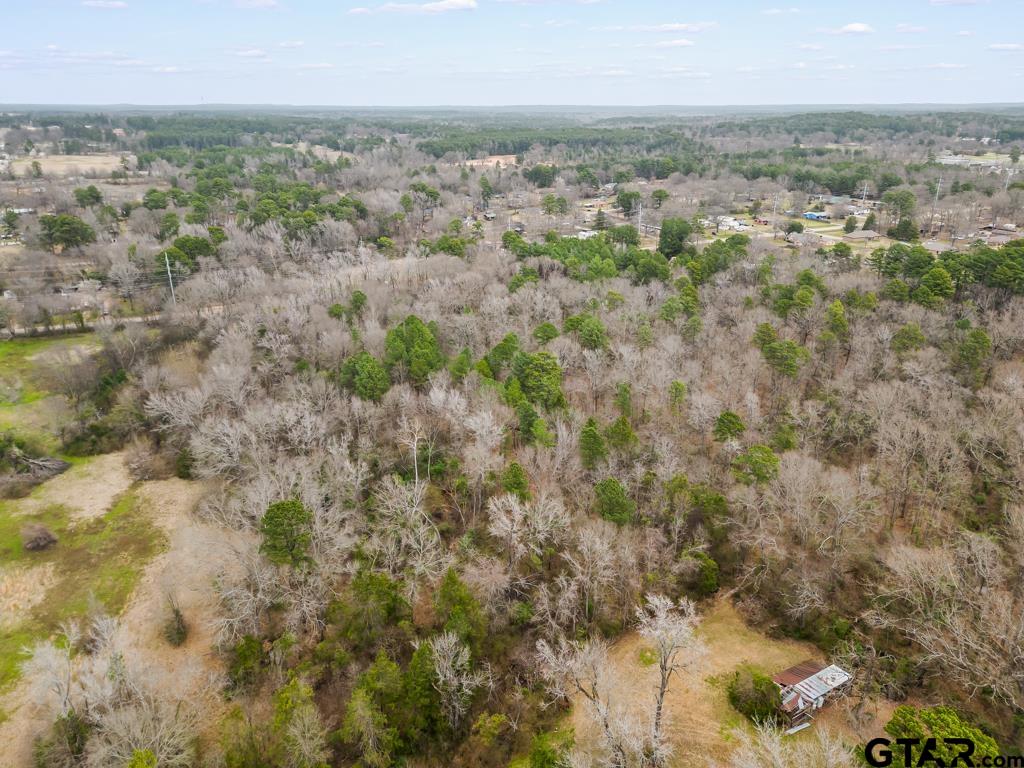 Tbd East Pliler Precise Road Longview, TX 75605 - Photo 12 of 19 a view of a city
