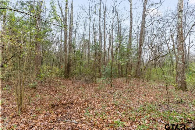 a view of a yard with trees in the background
