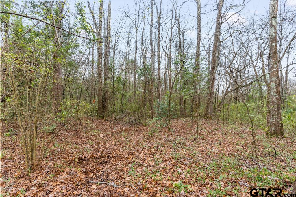 Tbd East Pliler Precise Road Longview, TX 75605 - Photo 13 of 19 a view of outdoor space and green space