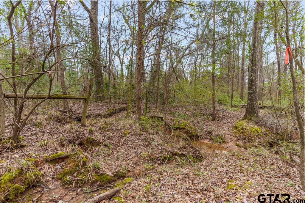 Tbd East Pliler Precise Road Longview, TX 75605 - Photo 14 of 19 a view of a yard with lots of trees