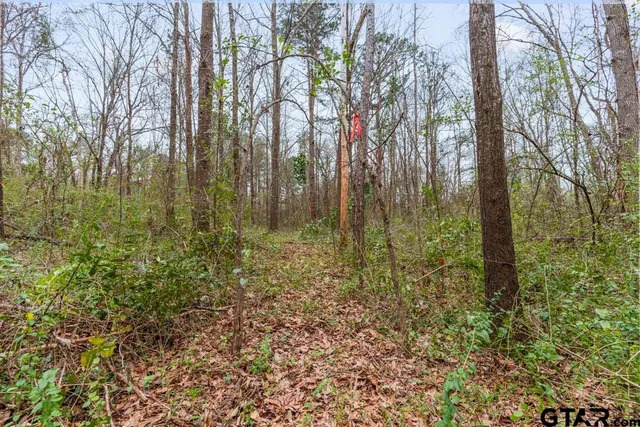 a view of outdoor space with lots of trees