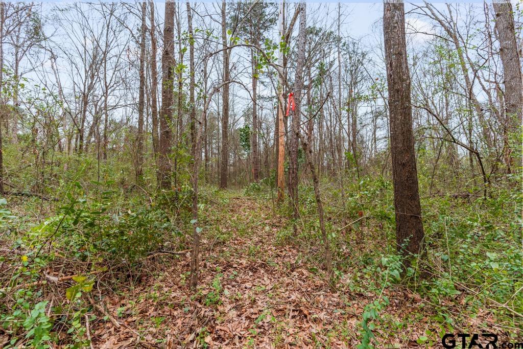 Tbd East Pliler Precise Road Longview, TX 75605 - Photo 15 of 19