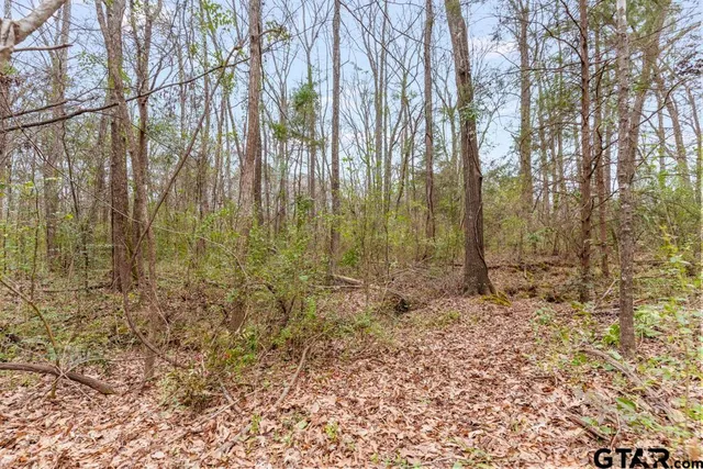 a backyard of a house with lots of trees