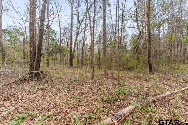 $114,000 | 250 East Pliler Precise Road, Longview, TX 75605