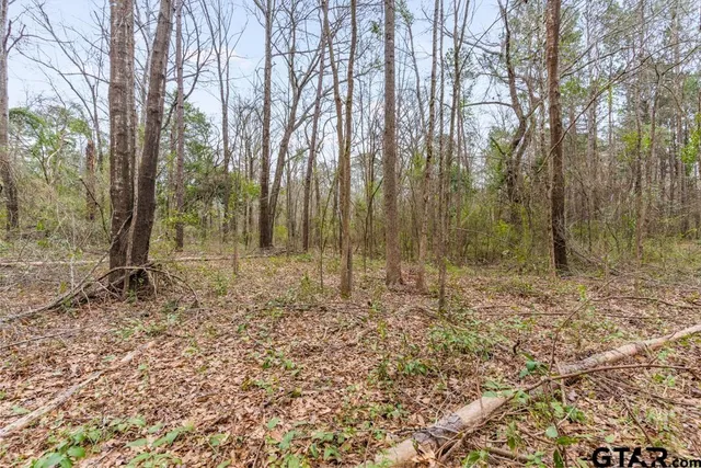 $114,000 | Tbd East Pliler Precise Road, Longview, TX 75605
