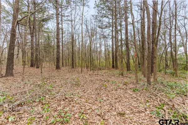 $114,000 | 250 East Pliler Precise Road, Longview, TX 75605