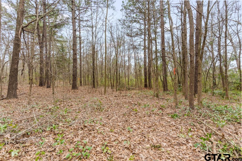 Tbd East Pliler Precise Road Longview, TX 75605 - Photo 18 of 19 a view of outdoor space with lots of trees